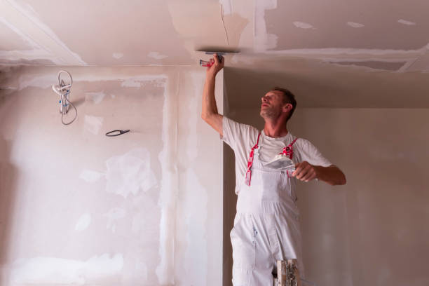 Best Ceiling Drywall Installation  in Kernersville, NC